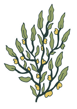 Botanical Foliage With Small Yellow Buds