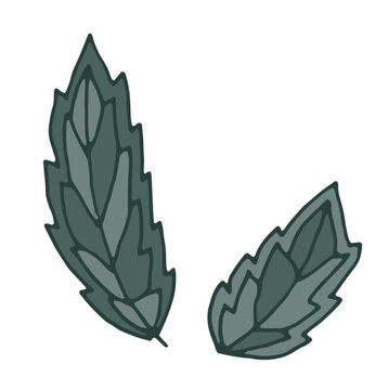 Hand Drawn Stylized Green Leaves