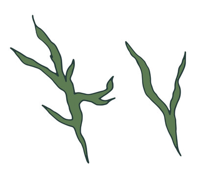 Organic Abstract Botanical Foliage Motif