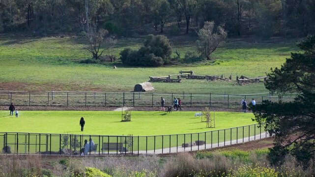 Dog owners exercising dogs on green grass at a fenced off-leash dog park, equestrian jump obstacles in the adjacent paddock. Regional lifestyle and country living in Bacchus Marsh, Victoria Australia
