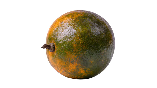 Fresh whole lucuma fruit with realistic texture and clean edges, isolated PNG on transparent background