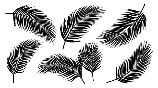 Delicate botanical illustration of leaves with a hand drawn sketchy style on black background