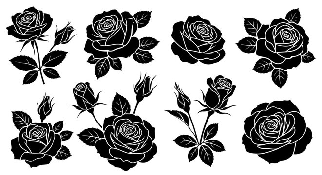 Collection of stylized rose vector illustrations featuring various bloom shapes, foliage, and stems. High-quality botanical set isolated on a white background for graphic design.