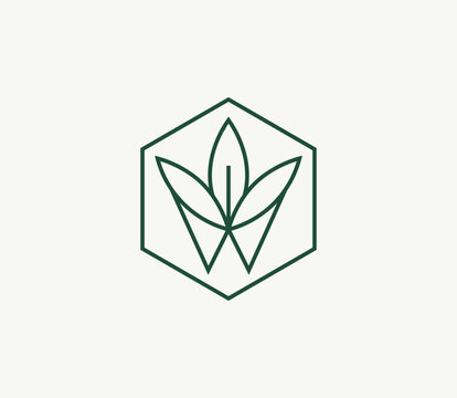 Editable green hexagon leaf letter W line icon vector logo design template, minimalist nature herbal branding symbol.
