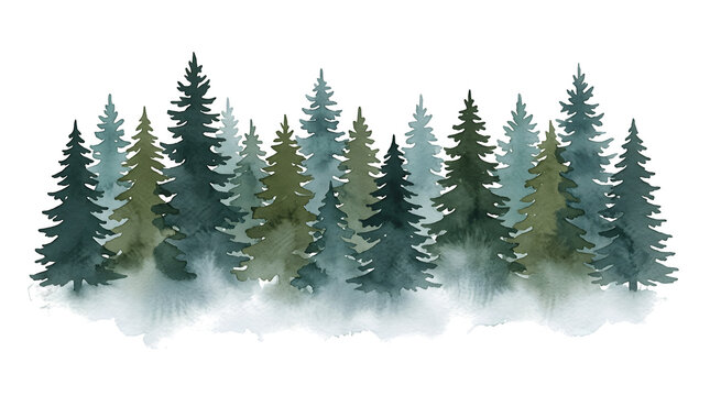 Watercolor painting of evergreen pine tree forest landscape with fog at the bottom