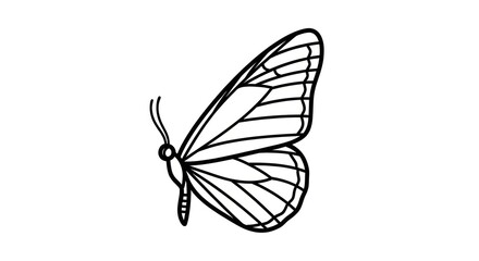 Butterfly Insect Wing Animal Icon Black. © Glang