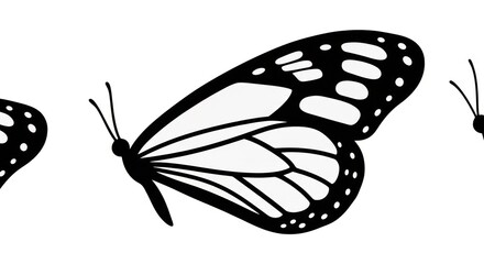Butterfly silhouettes on white background. © Glang