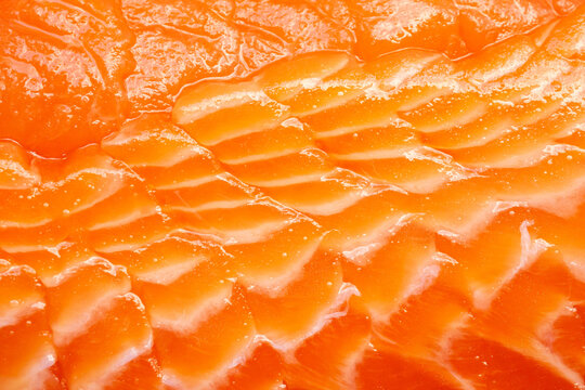 fresh salmon sashimi slices with beautiful fat marble texture background