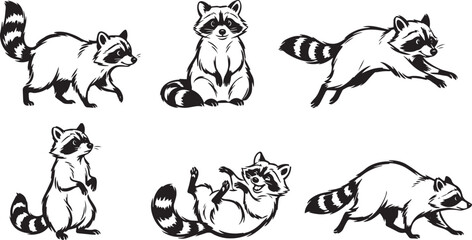 Naklejka premium A set of raccoons. Hand drawn vector illustration