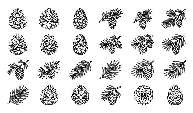 Pine cone and conifer branch outline icon set featuring pinecones, needles, leaves, and botanical forest elements