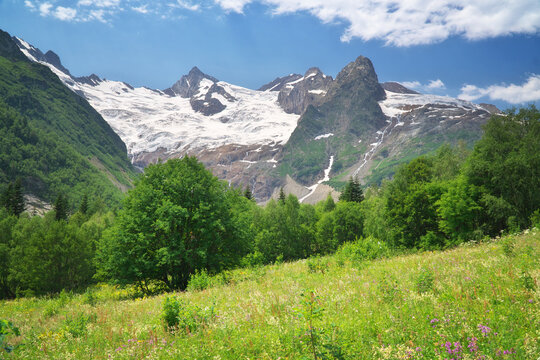 Majestic snowy mountain peaks and a glacier rising above a lush green forest and a wildflower meadow. Picturesque alpine valley scenery