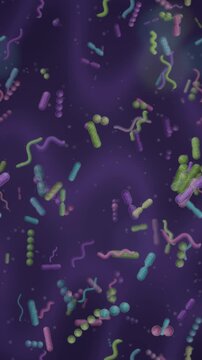 Gut microbiome bacteria ecosystem rod coccus and spiral microbes dividing in mucus seamless loop in soft violet tones vertical 9:16