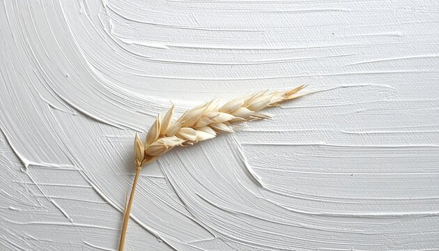 Primed white painting canvas texture, organic woven wabi sabi surface, subtle fabric grain, handmade art canvas background, minimalist neutral texture