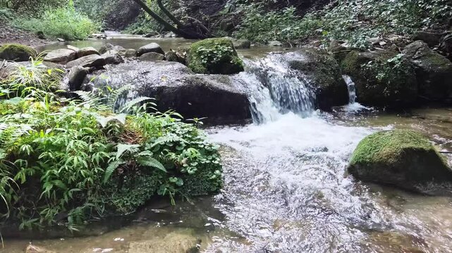 강원도 횡성자연휴양림 계곡의 조용한 자연 풍경