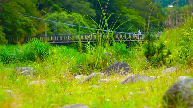 Kurenai Suspension Bridge and River Stream in Shiobara Onsen Resort, Nasushiobara, Tochigi, Japan