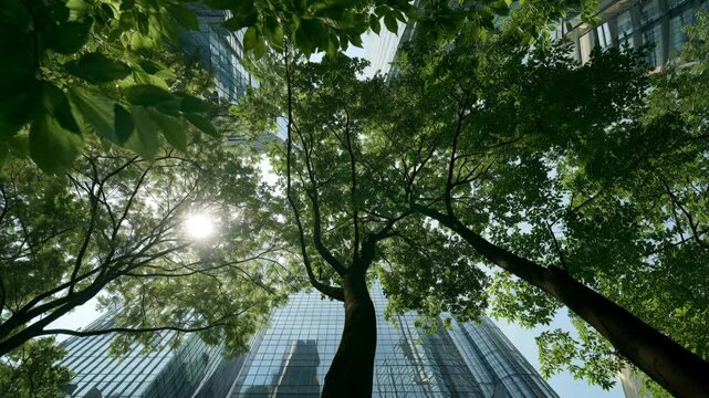 Balancing social equity and economic viability for green job creation in sustainable construction