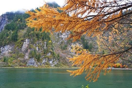 Bipenggou Valley (Bipenggou National Park) is a natural reserve located in northern Sichuan, China