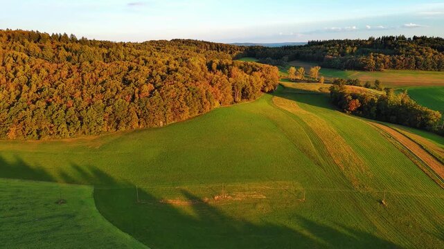 Golden Hour Aerial View of Rolling Autumn Fields and Forests