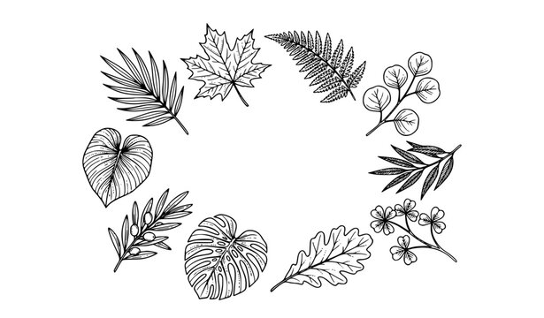 Hand Drawn Botanical Leaf Outline Collection Minimal Black Line Vector Illustration