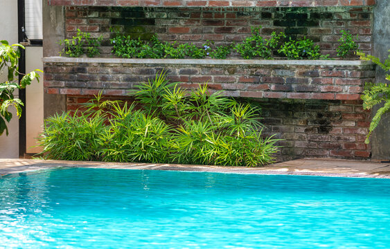 A bright blue swimming pool surrounded by lush green plants and a brick wall