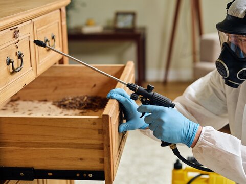A pest control professional wearing protective gear sprays insecticide on cockroaches in a drawer.