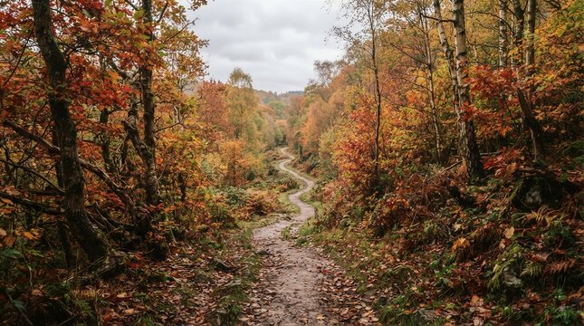 Winding forest path covered with autumn leaves in woods