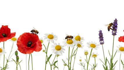 Fototapeta premium Colorful wildflowers blooming in a sunny meadow.
