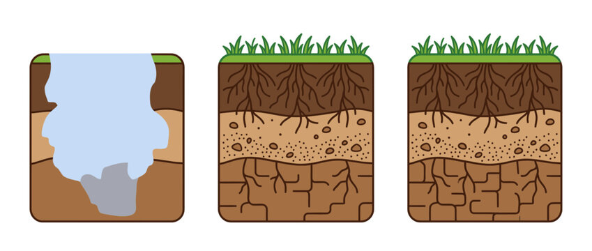 Soil Layers Cross-Section Depicting Erosion and Roots