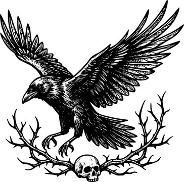 Flying raven bird with skull and thorny branches in vintage woodcut engraving style