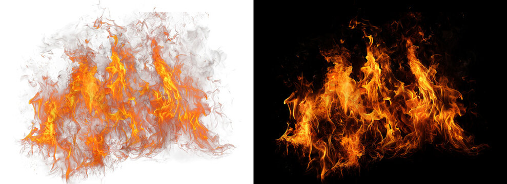 Wide wall of realistic roaring fire flames with transparent layout and stark black background option suitable for dramatic background textures game design and composite elements.