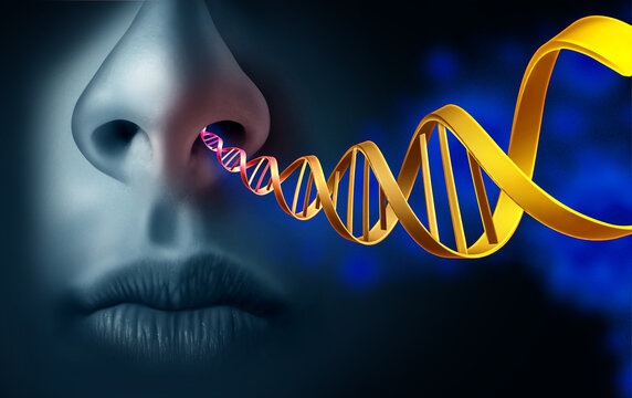 intranasal DNA vaccine as genetic instructions through the nasal passages to stimulate targeted mucosal and systemic immune responses as new medical pharmaceutical therapy and disease treatment.