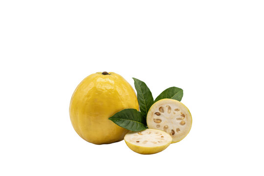 Whole yellow guava fruit with one sliced half and green leaves, tropical produce for healthy diet and nutrition isolated on a transparent background