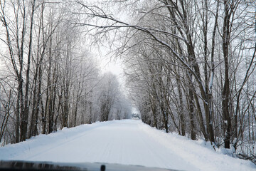 Fototapeta premium Winter snowy frosty landscape. The forest is covered with snow. Frost and fog in the park.