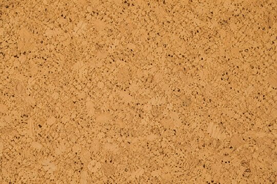 Natural cork surface texture in warm daylight