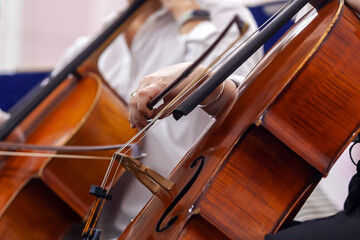 Close-up of a girl's hand playing the cello in an orchestra © furtseff