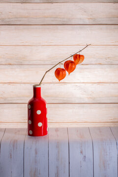 A physalis branch in a red vase against a background of wooden planks