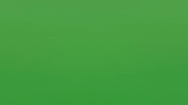 Palm fronds in repeating pattern against a vibrant green gradient background with black horizontal bars