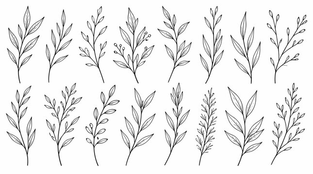 Delicate Botanical Sprigs Arranged As Gentle Pattern.