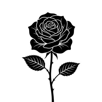 Black and white silhouette of a single rose flower on white background