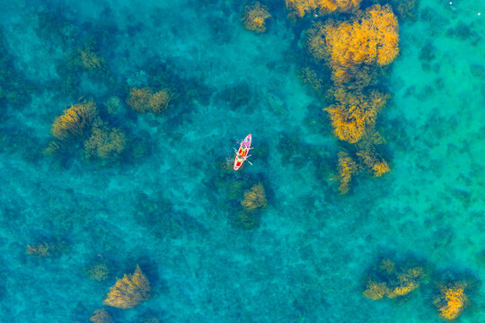 Aerial view of vibrant golden seaweed underwater with paddle boards in Nhon Hai, Binh Dinh province, Vietnam