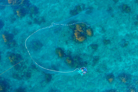 Aerial view of a fisherman casting a net from a basket boat over golden seaweed in Nhon Hai, Binh Dinh province, Vietnam