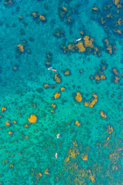 Aerial view of vibrant golden seaweed underwater with paddle boards in Nhon Hai, Binh Dinh province, Vietnam