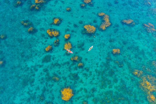 Aerial view of vibrant golden seaweed underwater with paddle boards in Nhon Hai, Binh Dinh province, Vietnam
