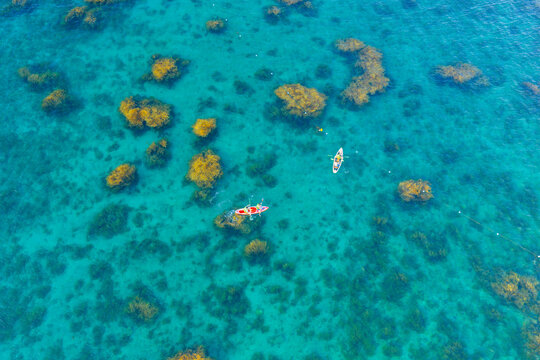 Aerial view of vibrant golden seaweed underwater with paddle boards in Nhon Hai, Binh Dinh province, Vietnam