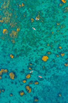 Aerial view of vibrant golden seaweed underwater with paddle boards in Nhon Hai, Binh Dinh province, Vietnam