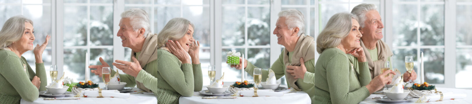 Happy Senior Couple Celebrating Birthday at Home with Cake