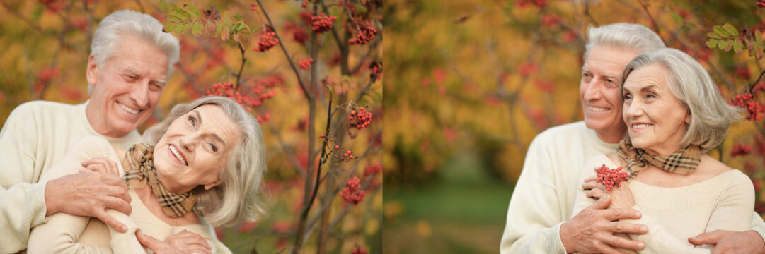 Happy Senior Couple Hugging Outdoors in Autumn Garden with Red Berries