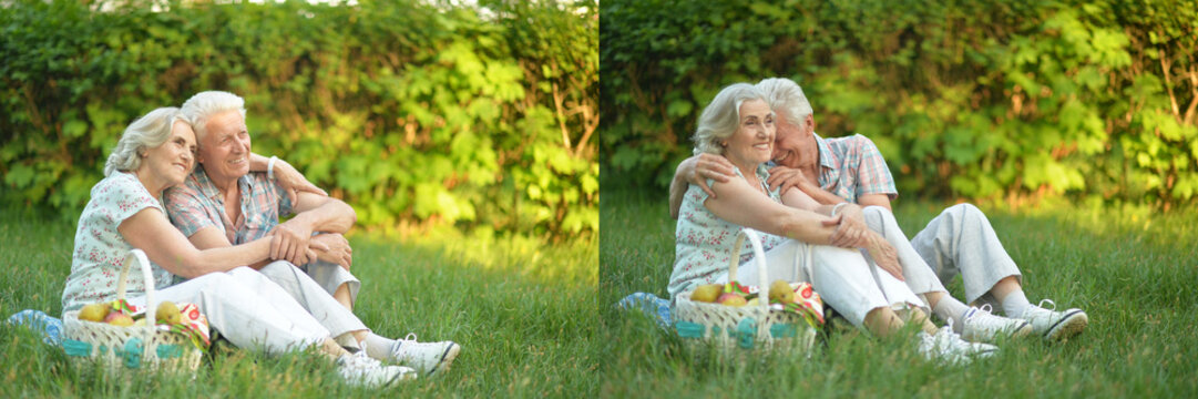Happy Senior Couple Picnic in Green Park
