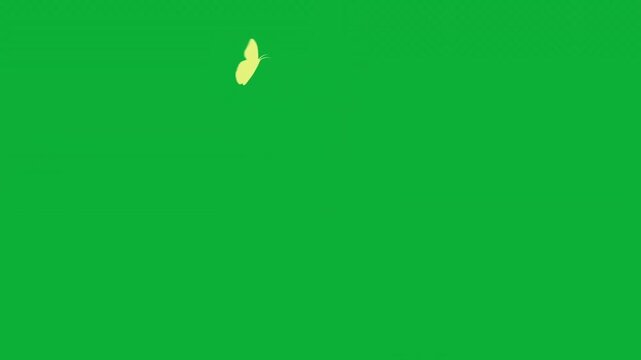 Beautiful flying butterfly vector silhouette animation on green screen background