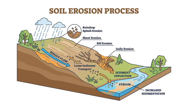 Soil Erosion and Sediment Transport Diagram
